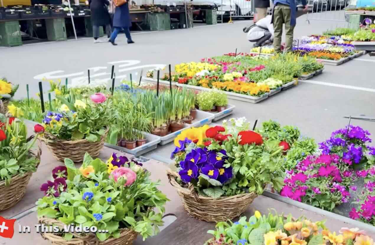 城市漫步：瑞士 苏黎世 2025.3.jpg